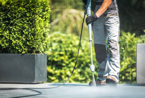 Best Solar Panel Cleaning  in Kahuku, HI